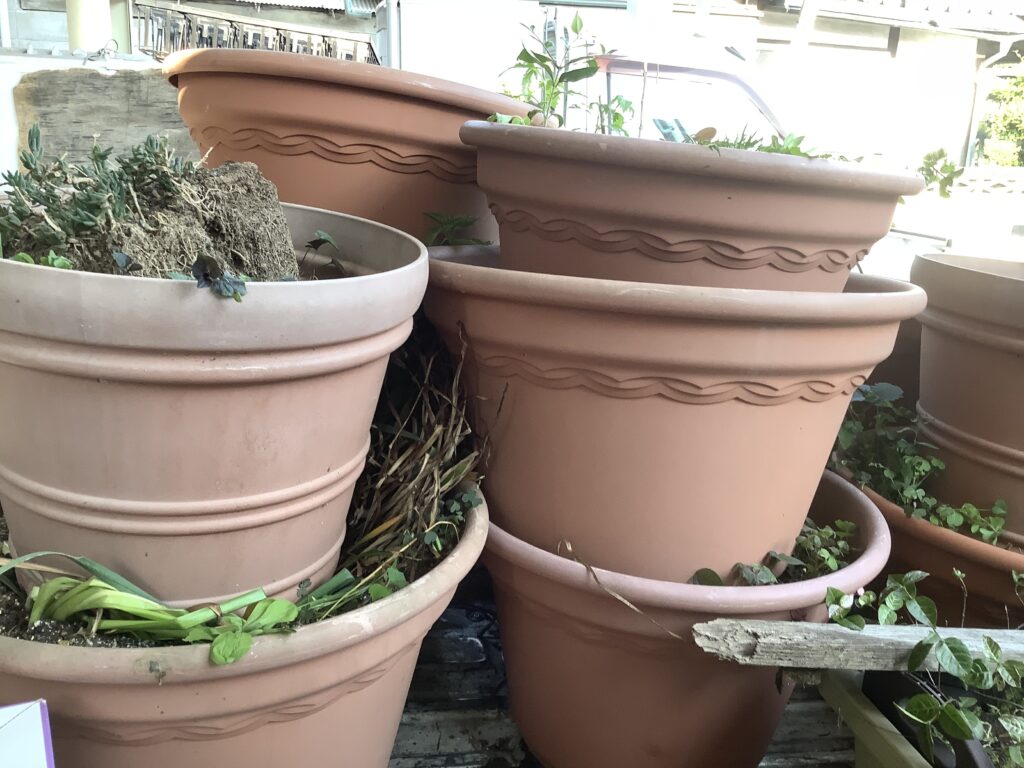 岡山市北区伊福町で回収した植木鉢