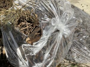 岡山市南区で処分した不用品
