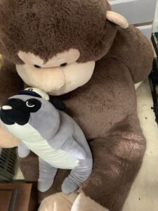 岡山市南区で処分した不用品