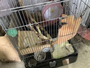 真庭市で不用品の引き取りから処分までさせて頂きました。