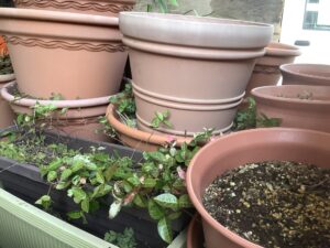 久米郡美咲町で引き取り回収から処分までした不用品