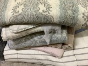 美作市江見で引き取り回収から処分までした不用品