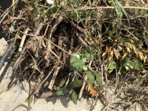 瀬戸内市牛窓町で引き取り回収から処分までした不用品